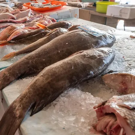 Steps To 4beds -ac Self Check-in 2024 Reno * Nazaré